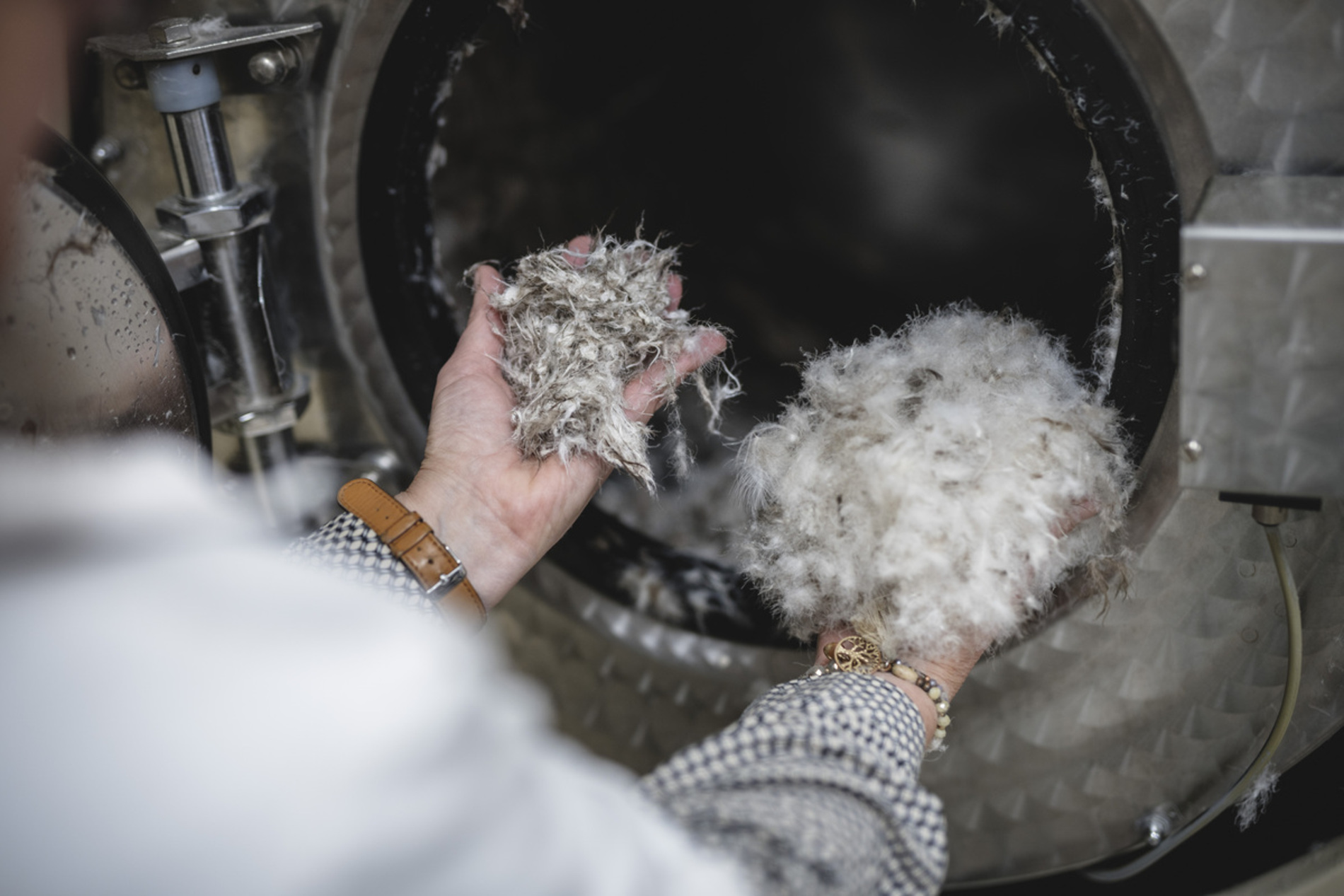 Federn Reinigung vorher Nachher Betten Emmerich.jpg