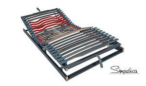 Sympathica Vision RFK